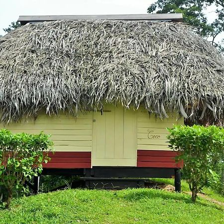 Nathylodge Bocas Town Exterior foto
