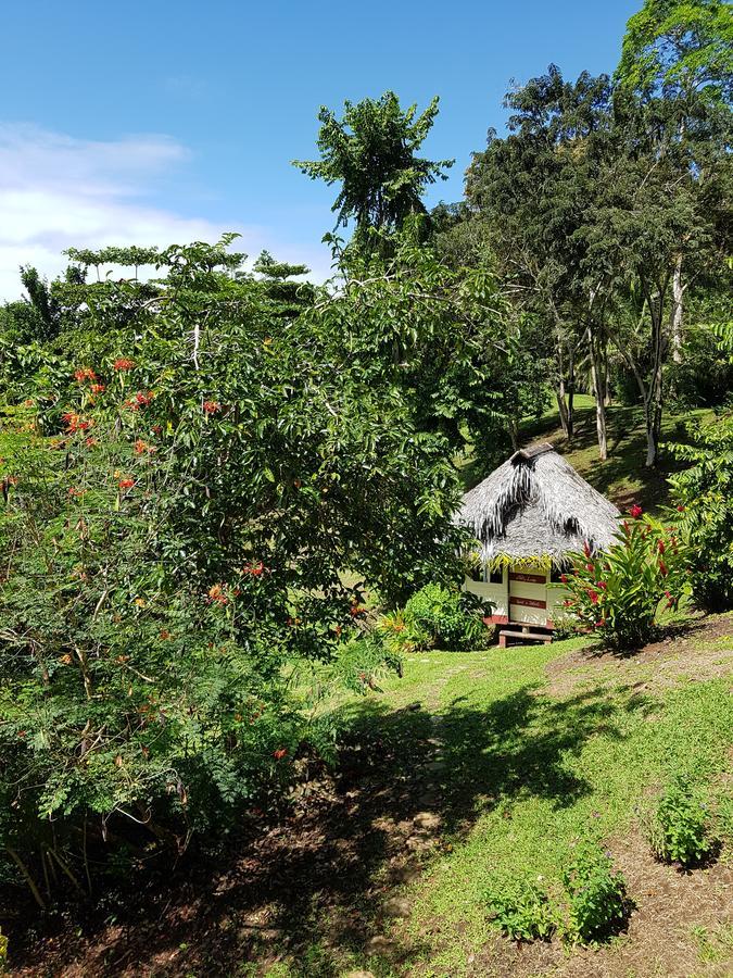 Nathylodge Bocas Town Exterior foto